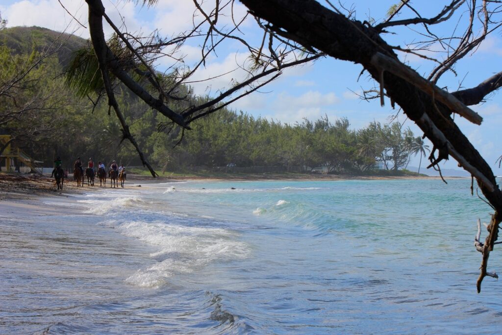 People exploring Bath Beach