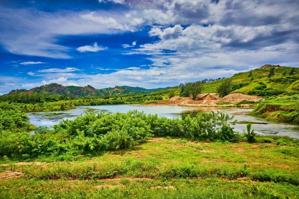 Lush landscape of Walker’s Reserve