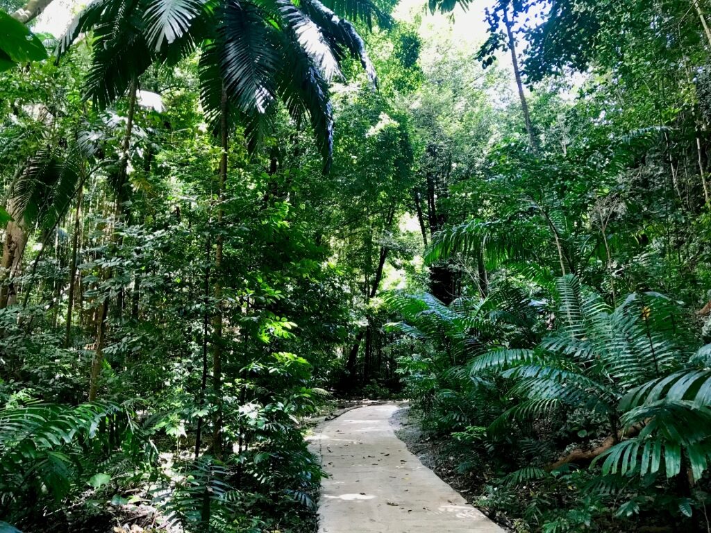 Lush landscape of Welchman Hall Gully