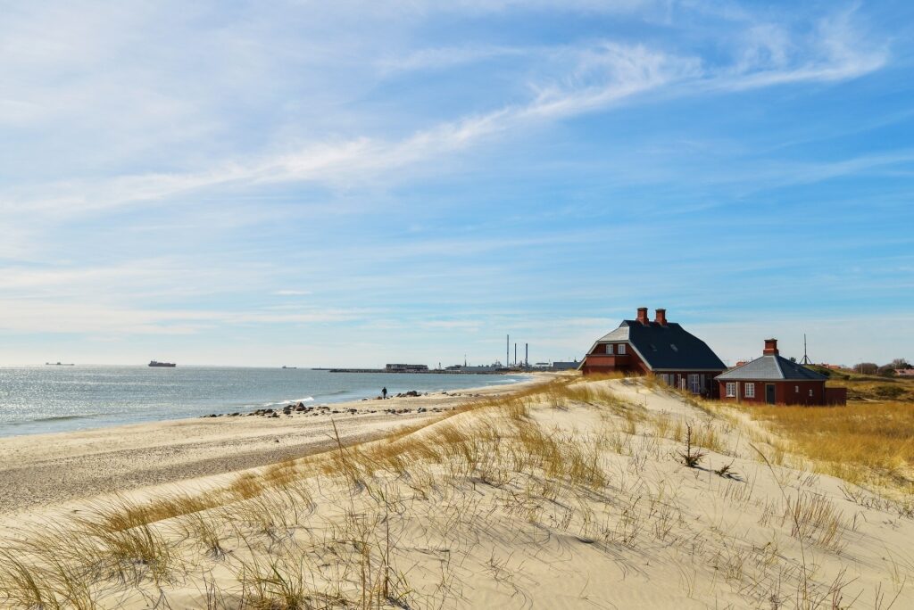 Sandy beach in Skagen