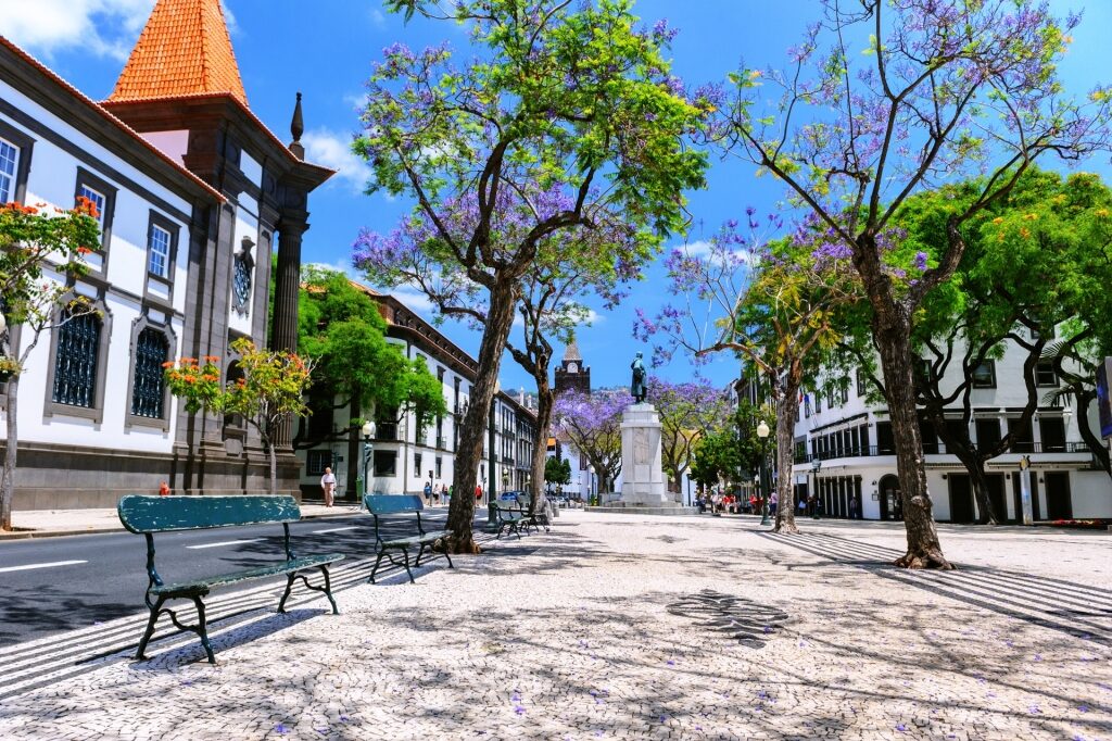 Street view of Funchal