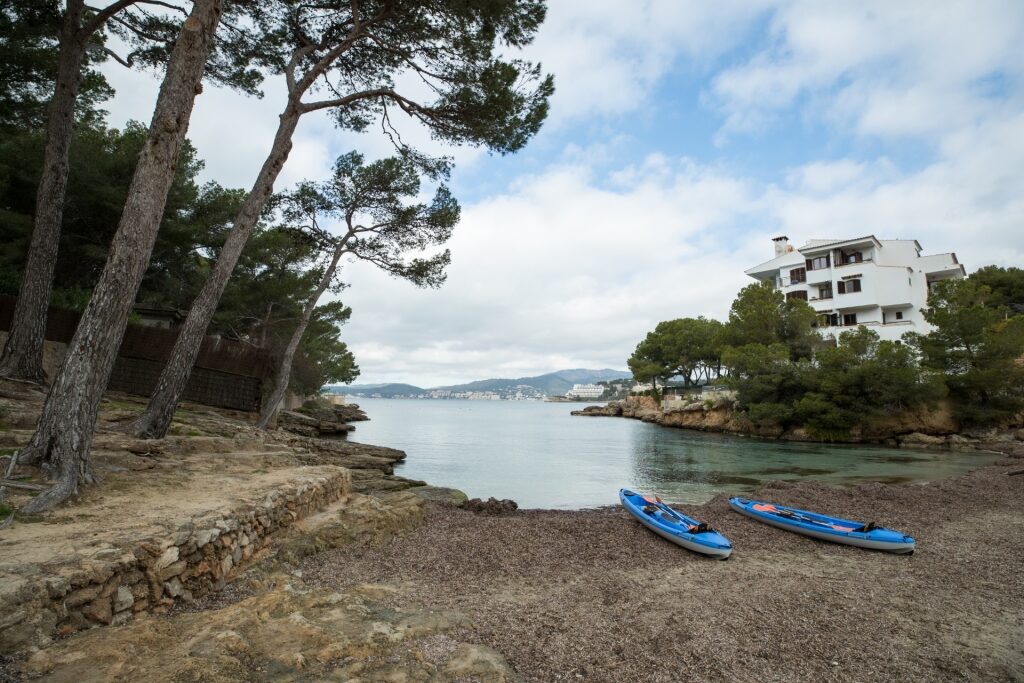 Kayak in Palma de Mallorca