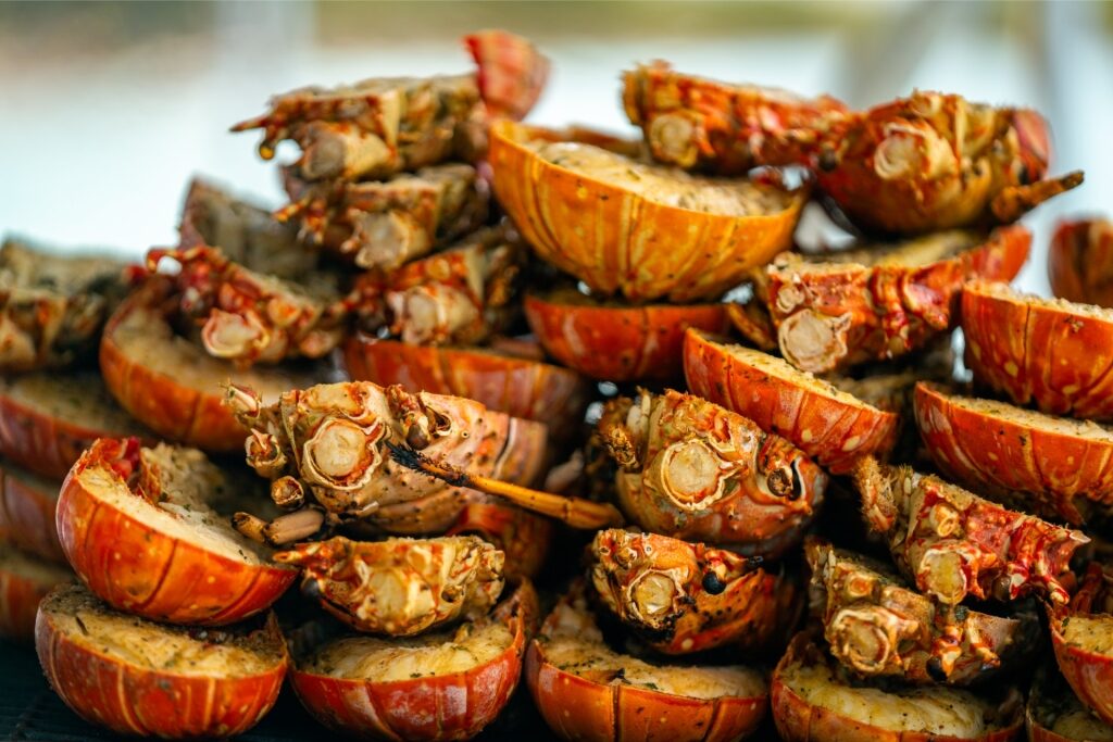 Lobsters at a market in the Caribbean