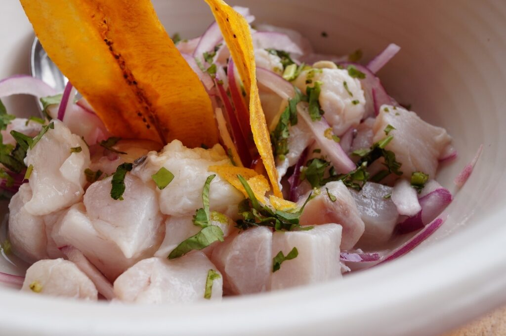 Honduran food - Conch ceviche