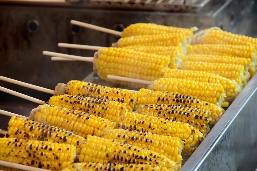 Grilled corn on the cob