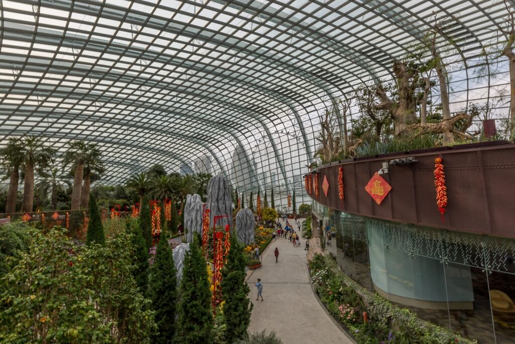 View inside the Flower Dome in Gardens by the Bay, Singapore