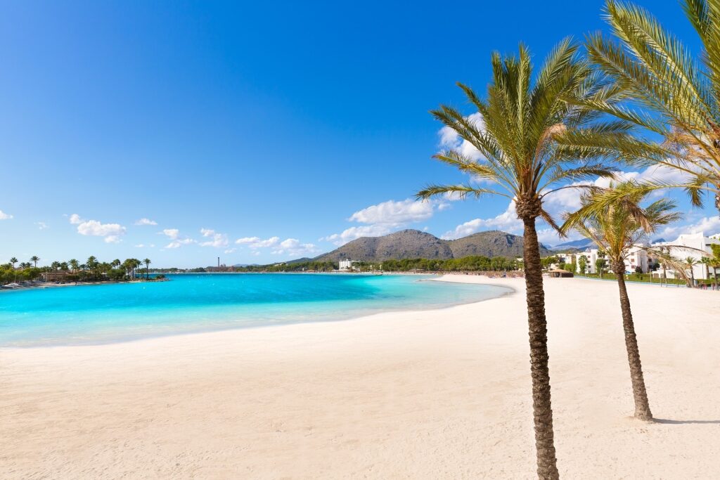 Fine sands of Platja de Alcúdia