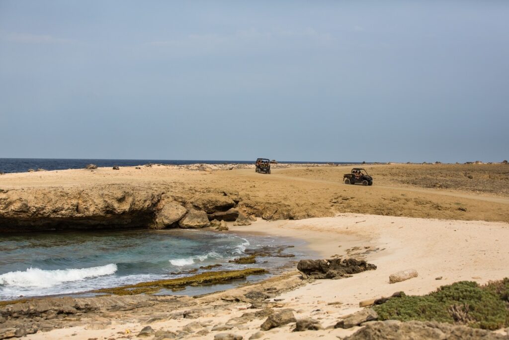 People on an ATV adventure along the coast of Arikok National Park, Aruba