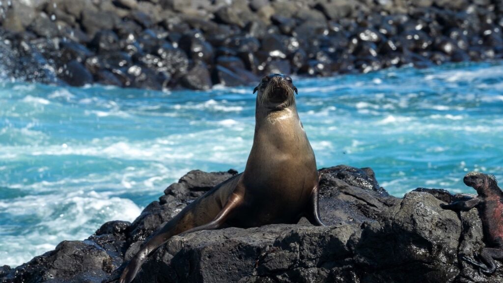 Galapagos, one of the best warm places to visit in February