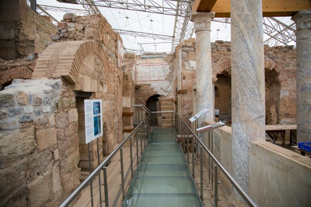 Historic Terrace Houses of Ephesus