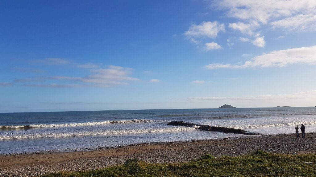 Pretty shoreline of Garryvoe Beach, Cork