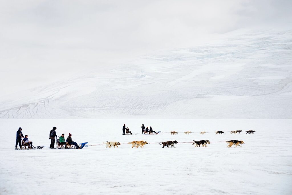 People dog sledding in Alaska, USA