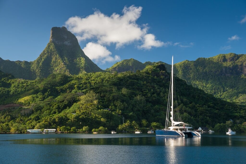 Beautiful landscape of Moorea, French Polynesia