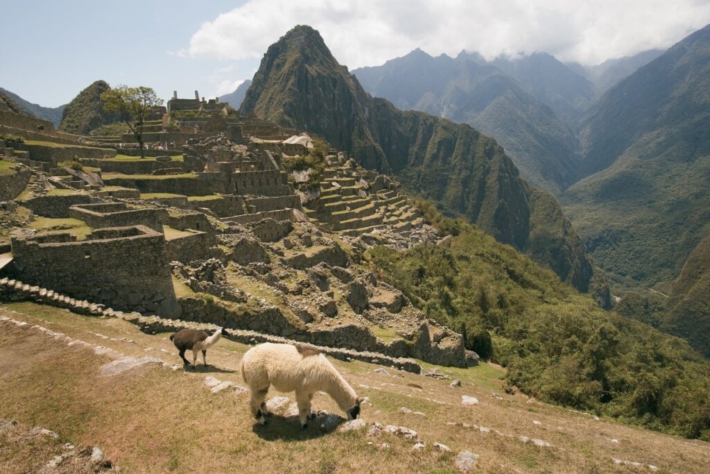 Beautiful ruins of Machu Picchu, Peru