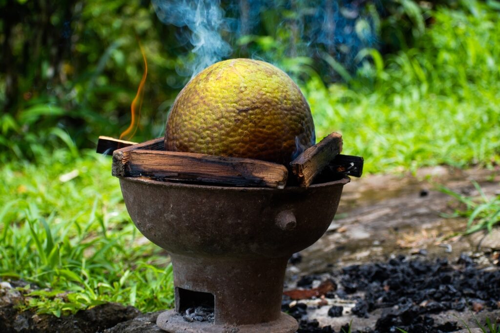 Breadfruit in the Caribbean