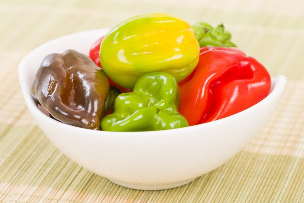 Bowl of scotch bonnet peppers