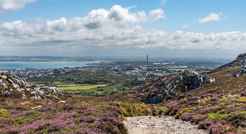 View from Breakwater Country Park