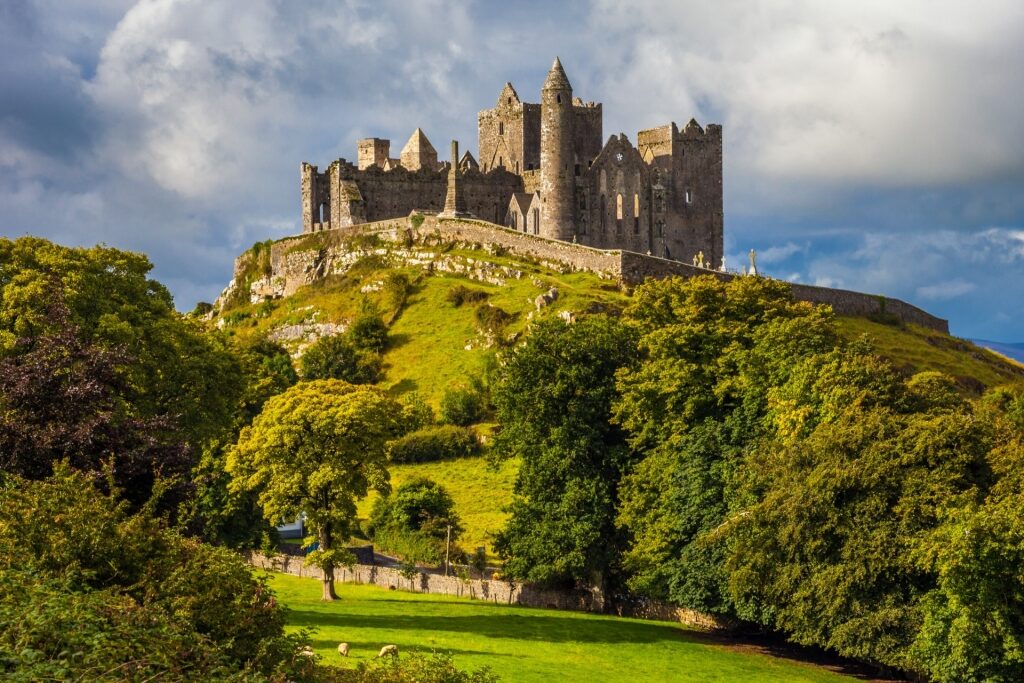 Spring in Ireland - Rock of Cashel