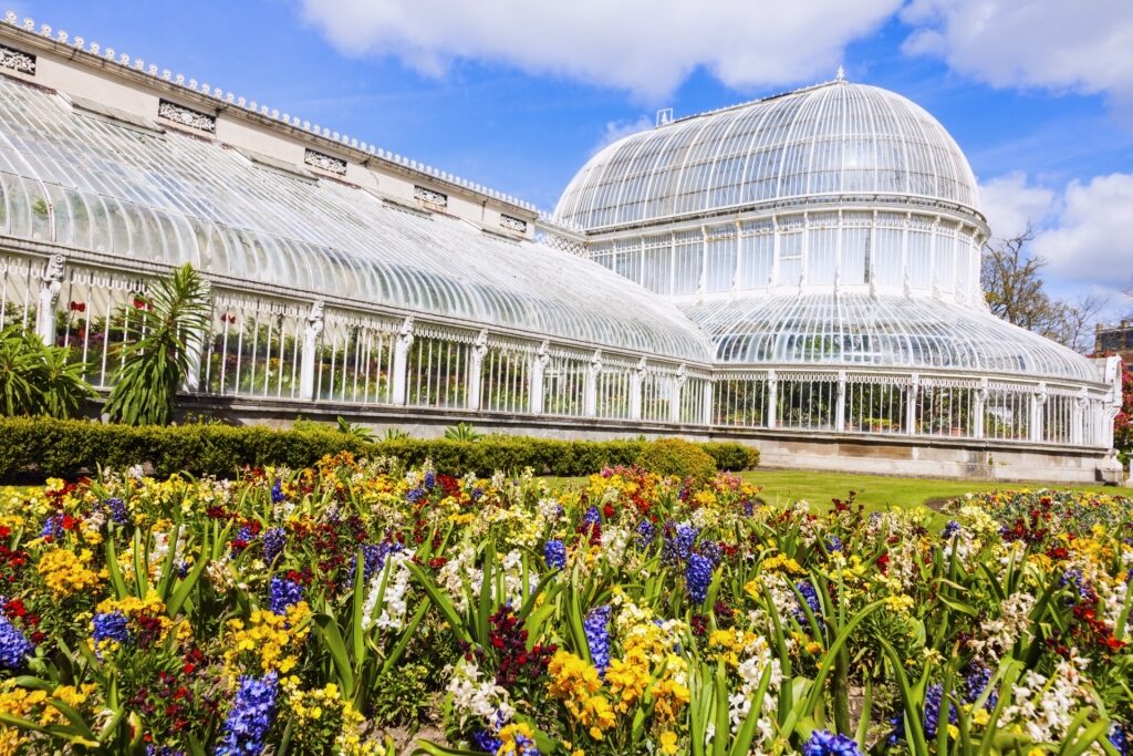 Spring in Ireland -Botanic Gardens, Belfast