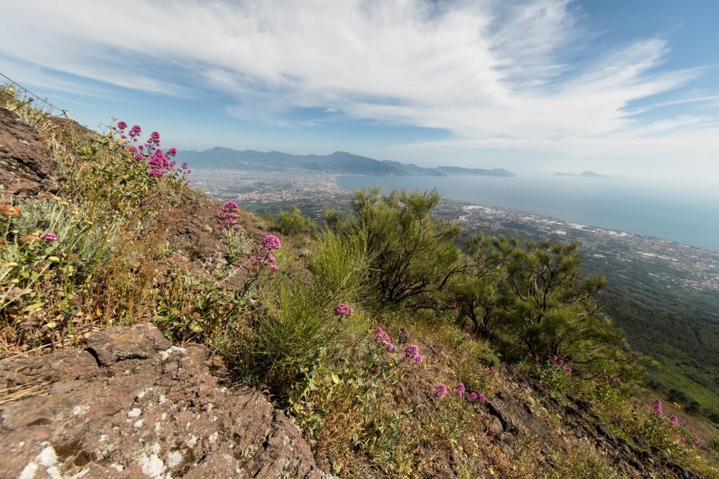 View from Mount Vesuvius, Naples