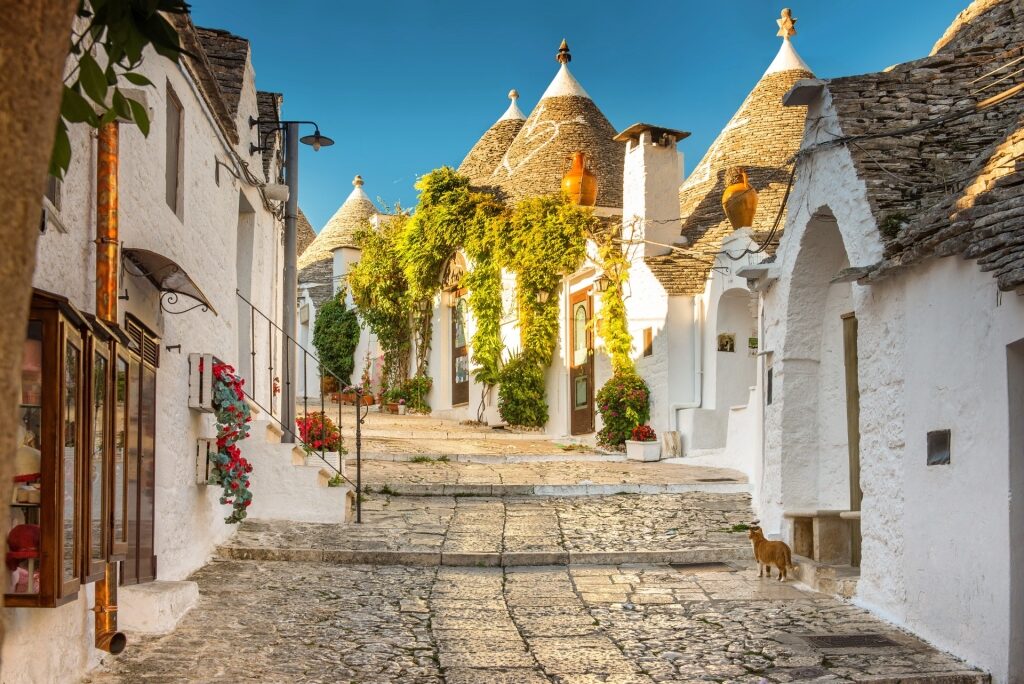 Sreet view of Alberobello