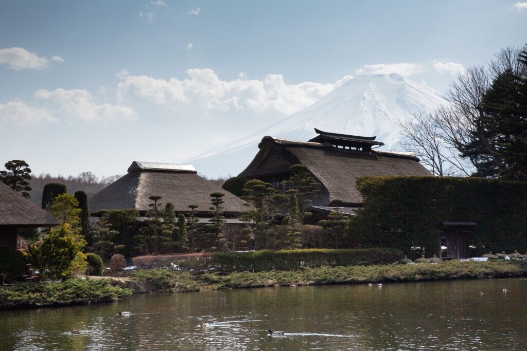 View of Oshino Hakkai with Mount Fuji in the background