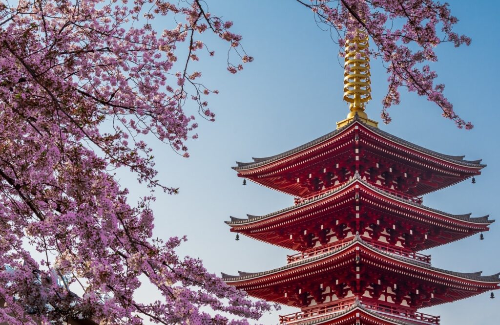 Spring in Japan - Sensoji Temple