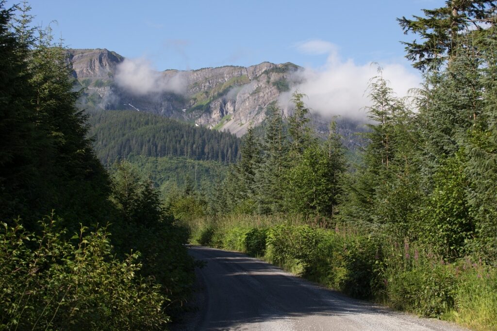 Lush landscape of Icy Strait Point, Alaska