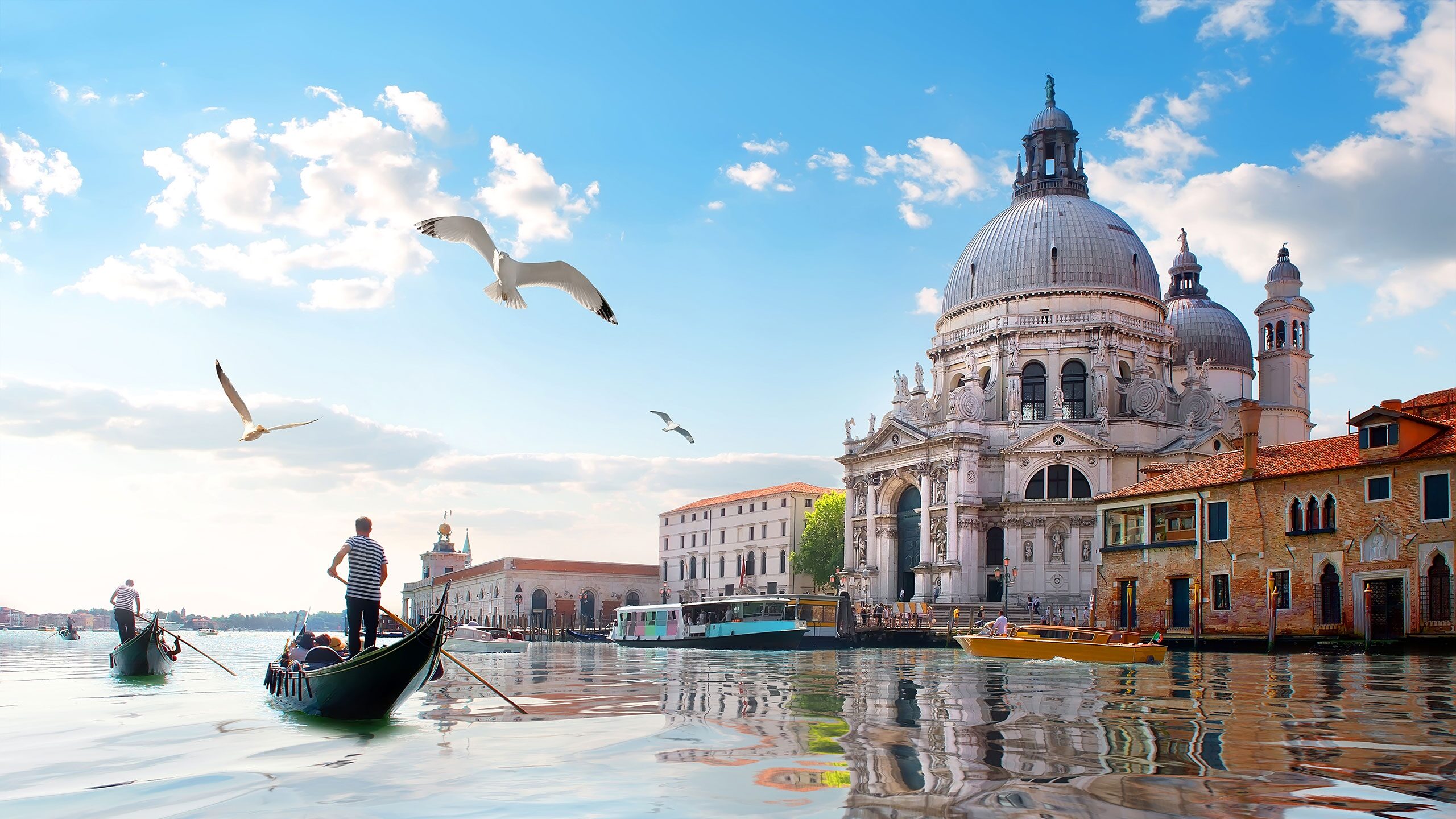 Luxury Barcelona to Venice Cruises Celebrity Cruises