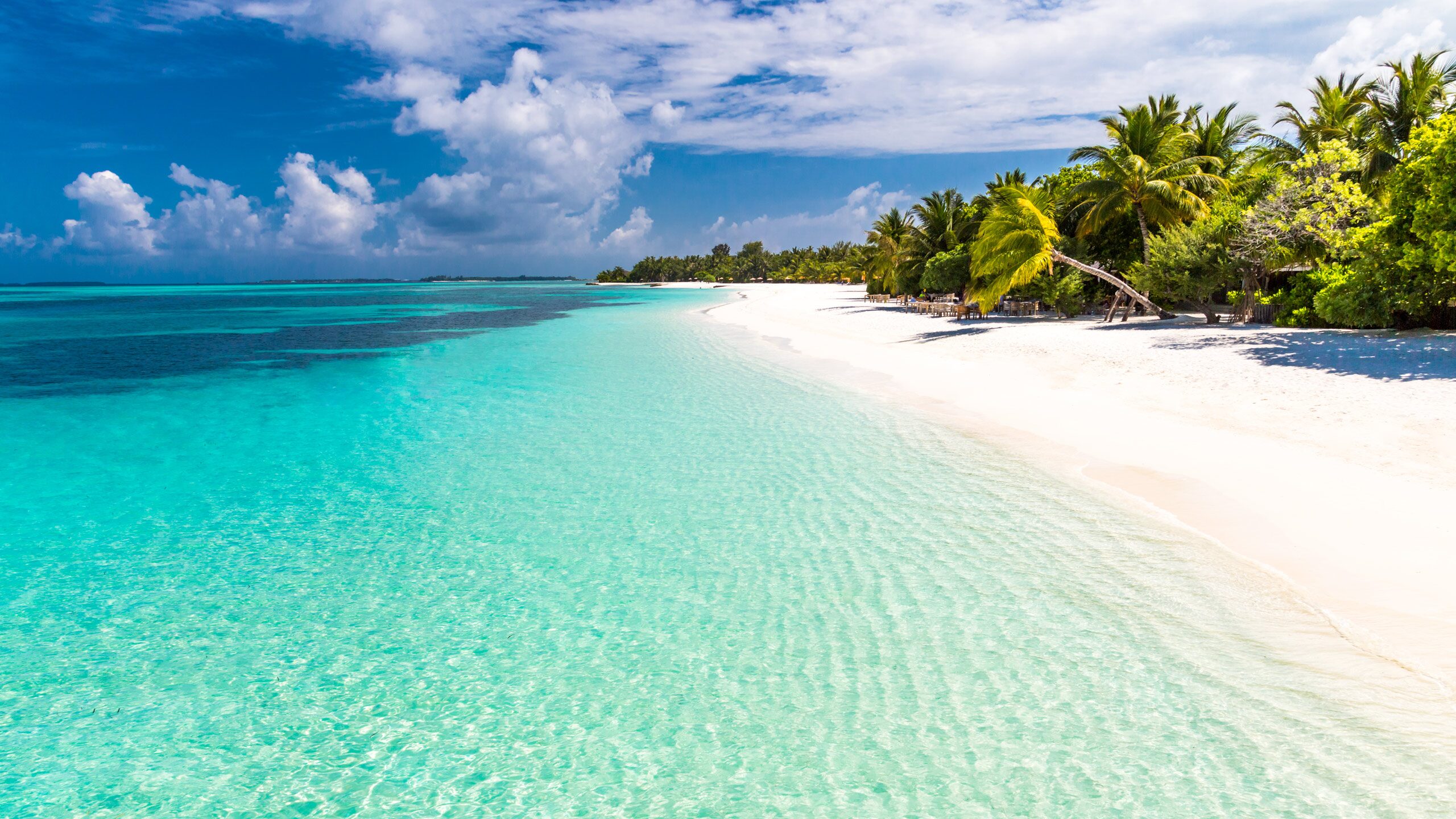 Tahiti Cruises Best Cruises to Tahiti 2024 & 2025 Celebrity Cruises