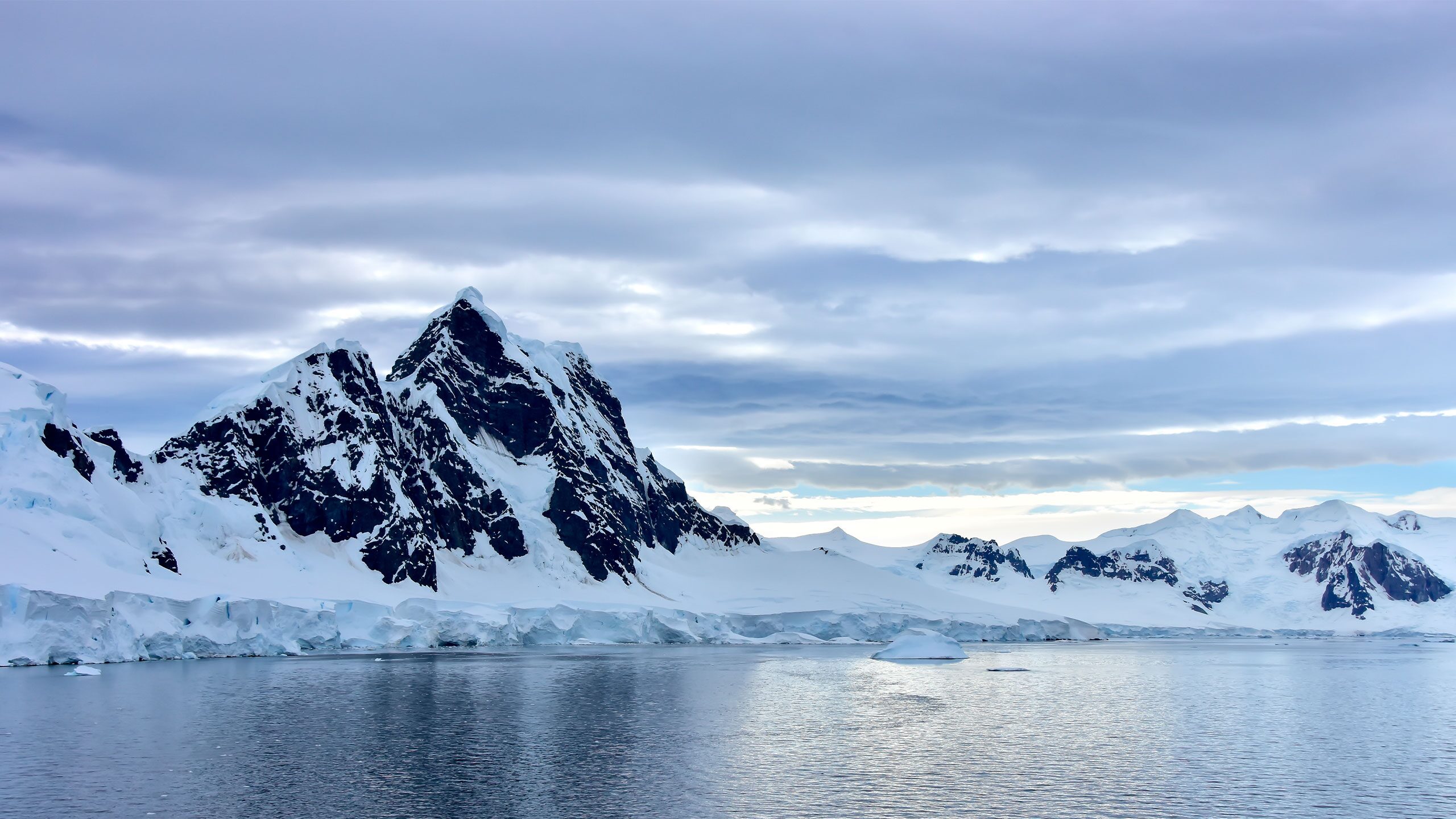 Best Cruises To Antarctica From Argentina 