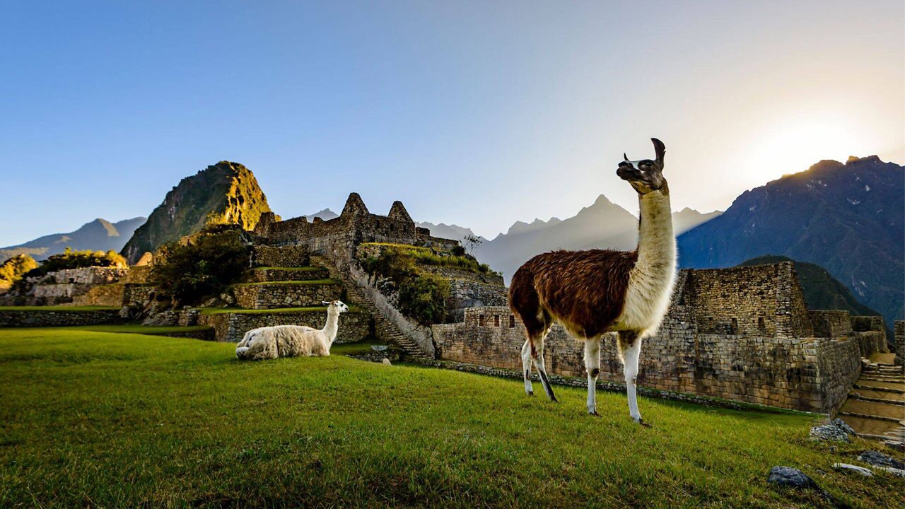 16 Nights Galapagos Southern Loop & Machu Picchu from Baltra (Galapagos ...