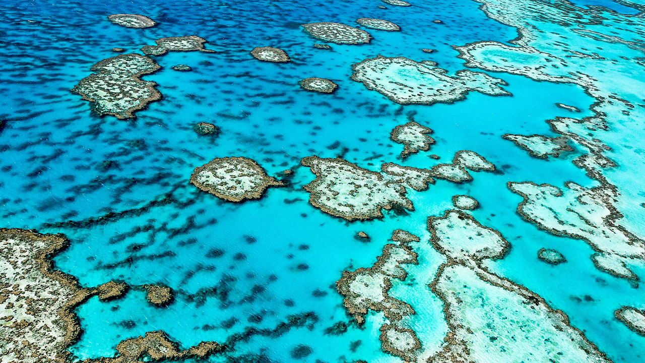 10 Nights Great Barrier Reef from Sydney, Australia Celebrity Cruises