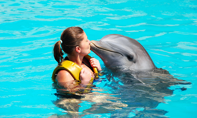 Cruise Essentials: Dolphin Encounter at Chankanaab National Park in Cozumel,  Mexico | Celebrity Cruises