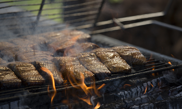 Gold Panning and Salmon Bake